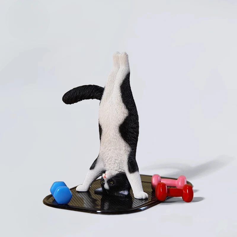 Yoga Fitness Model - 1/6 Yoga kedi modeli simülasyon fitness
