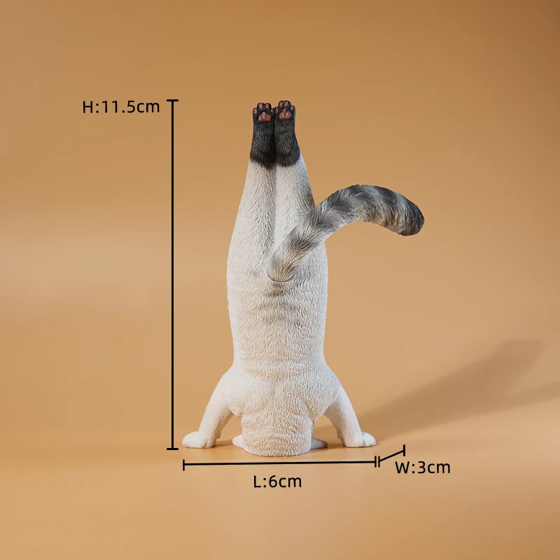 1/6 Yoga kedi modeli simülasyo - Yoga Fitness Model incelemesi ve fiyatı