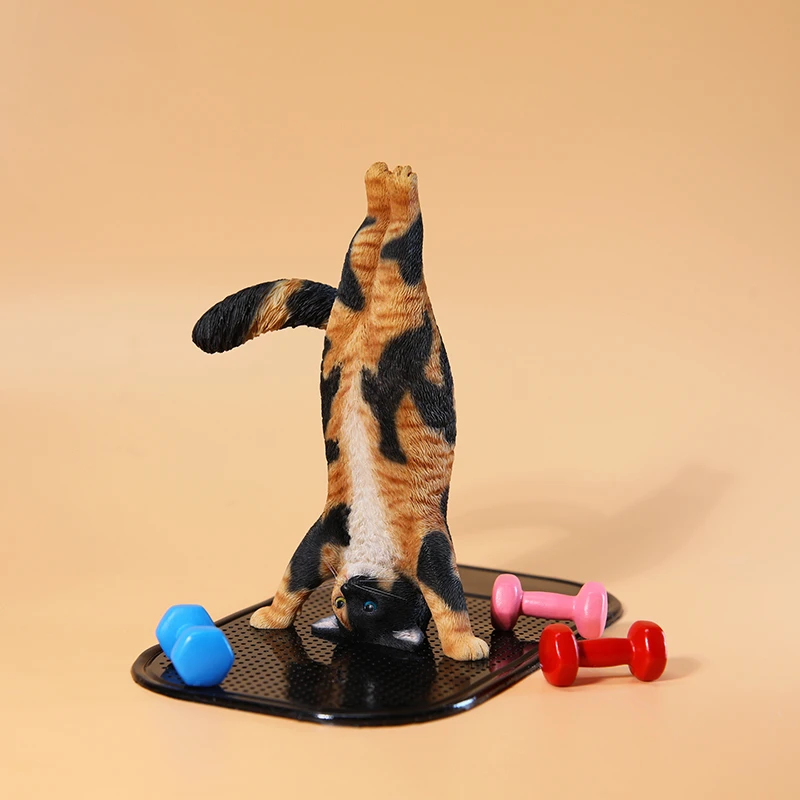 1/6 Yoga kedi modeli simülasyo - Yoga Fitness Model incelemesi ve fiyatı