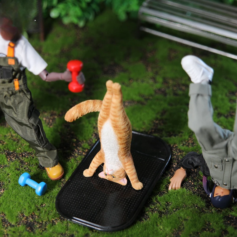 1/6 Yoga kedi modeli simülasyo - Yoga Fitness Model incelemesi ve fiyatı