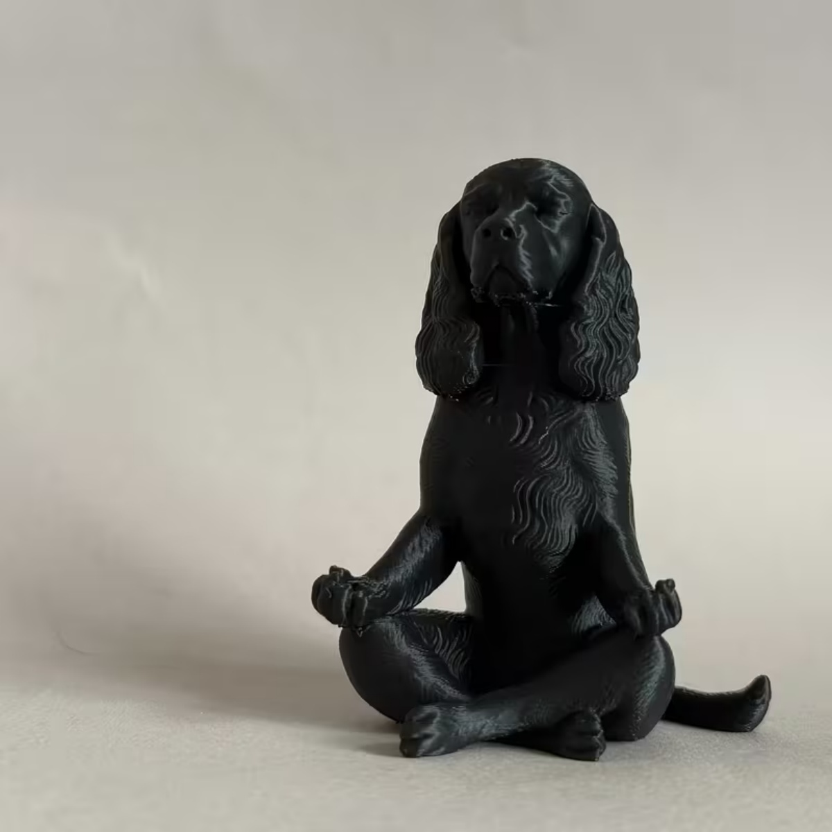 En Yeni 3D Baskılı Siyah Medit - Yoga Fitness Model incelemesi ve fiyatı